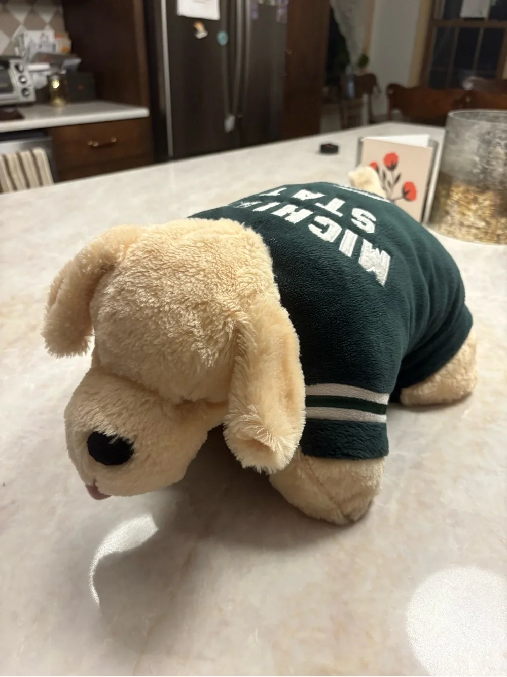 2009 Michigan State Golden Retriever Pillow Pet - discontinued